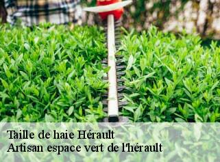 Taille de haie 34 Hérault  Artisan espace vert de l'hérault 