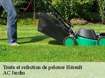 Tonte et refection de pelouse 34 Hérault  AC Jardin