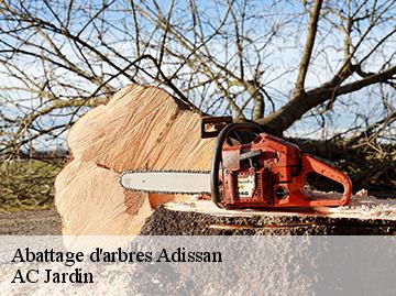 Abattage d'arbres  adissan-34230 AC Jardin