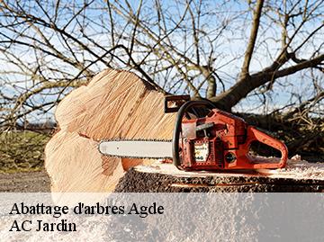 Abattage d'arbres  agde-34300 AC Jardin