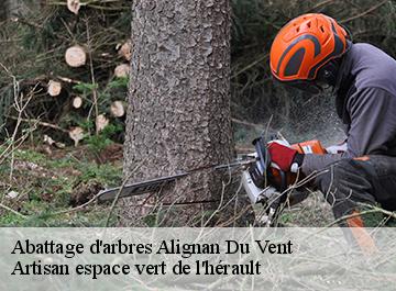 Abattage d'arbres  alignan-du-vent-34290 Artisan espace vert de l'hérault 