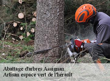 Abattage d'arbres  assignan-34360 Artisan espace vert de l'hérault 