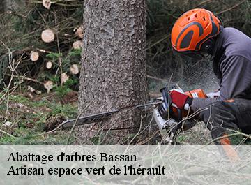 Abattage d'arbres  bassan-34290 Artisan espace vert de l'hérault 