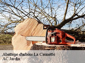 Abattage d'arbres  la-caunette-34210 AC Jardin