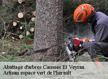 Abattage d'arbres  causses-et-veyran-34490 Artisan espace vert de l'hérault 