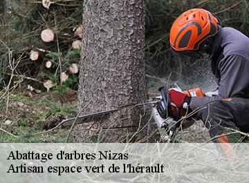 Abattage d'arbres  nizas-34320 Artisan espace vert de l'hérault 