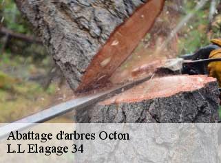 Abattage d'arbres  octon-34800 L.L Elagage 34 