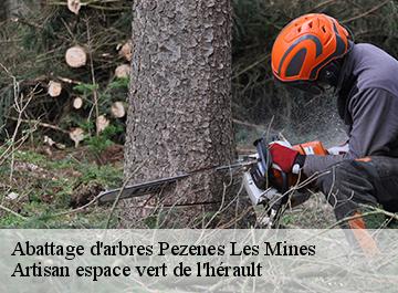 Abattage d'arbres  pezenes-les-mines-34600 Artisan espace vert de l'hérault 