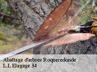 Abattage d'arbres  roqueredonde-34650 L.L Elagage 34 