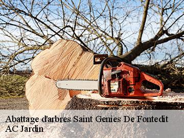 Abattage d'arbres  saint-genies-de-fontedit-34480 AC Jardin