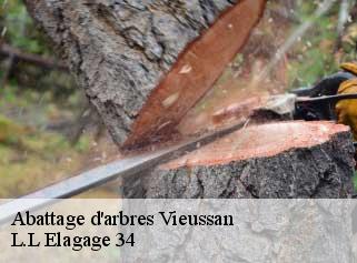 Abattage d'arbres  vieussan-34390 L.L Elagage 34 