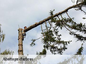 Abattage d'arbres