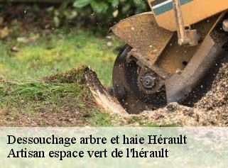 Dessouchage arbre et haie 34 Hérault  Artisan espace vert de l'hérault 