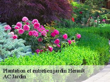 Plantation et entretien jardin 34 Hérault  AC Jardin