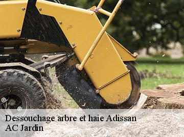 Dessouchage arbre et haie  adissan-34230 AC Jardin