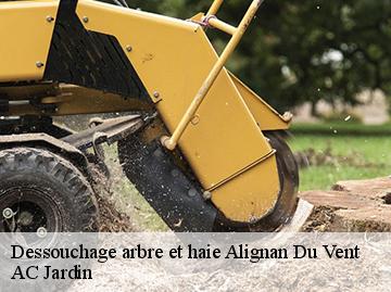 Dessouchage arbre et haie  alignan-du-vent-34290 AC Jardin