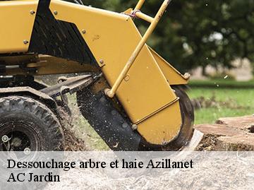 Dessouchage arbre et haie  azillanet-34210 AC Jardin