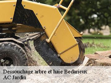 Dessouchage arbre et haie  bedarieux-34600 AC Jardin