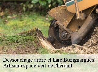 Dessouchage arbre et haie  buzignargues-34160 Artisan espace vert de l'hérault 