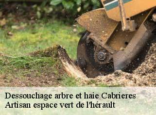 Dessouchage arbre et haie  cabrieres-34800 Artisan espace vert de l'hérault 