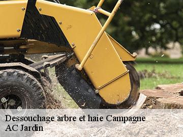 Dessouchage arbre et haie  campagne-34160 AC Jardin