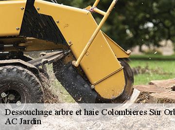 Dessouchage arbre et haie  colombieres-sur-orb-34390 AC Jardin