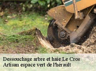 Dessouchage arbre et haie  le-cros-34520 Artisan espace vert de l'hérault 