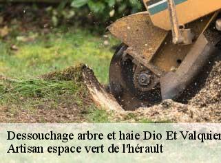 Dessouchage arbre et haie  dio-et-valquieres-34650 Artisan espace vert de l'hérault 