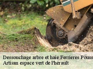 Dessouchage arbre et haie  ferrieres-poussarou-34360 Artisan espace vert de l'hérault 