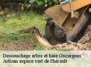 Dessouchage arbre et haie  guzargues-34820 Artisan espace vert de l'hérault 