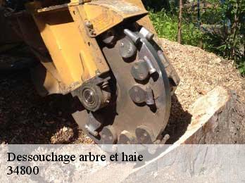 Dessouchage arbre et haie  34800