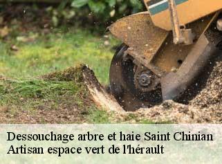 Dessouchage arbre et haie  saint-chinian-34360 Artisan espace vert de l'hérault 