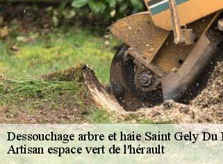 Dessouchage arbre et haie  saint-gely-du-fesc-34980 Artisan espace vert de l'hérault 