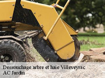 Dessouchage arbre et haie  villeveyrac-34560 AC Jardin