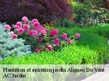 Plantation et entretien jardin  alignan-du-vent-34290 AC Jardin