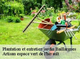 Plantation et entretien jardin  baillargues-34670 Artisan espace vert de l'hérault 