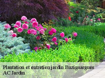 Plantation et entretien jardin  buzignargues-34160 AC Jardin