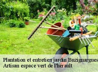 Plantation et entretien jardin  buzignargues-34160 Artisan espace vert de l'hérault 