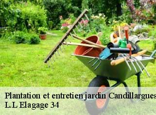 Plantation et entretien jardin  candillargues-34130 L.L Elagage 34 