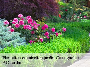 Plantation et entretien jardin  cassagnoles-34210 AC Jardin