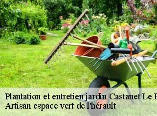 Plantation et entretien jardin  castanet-le-haut-34610 Artisan espace vert de l'hérault 