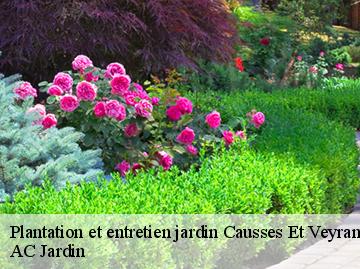 Plantation et entretien jardin  causses-et-veyran-34490 AC Jardin