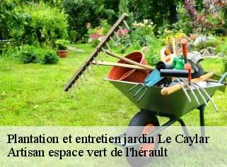 Plantation et entretien jardin  le-caylar-34520 Artisan espace vert de l'hérault 
