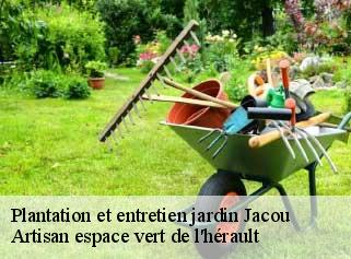 Plantation et entretien jardin  jacou-34830 Artisan espace vert de l'hérault 