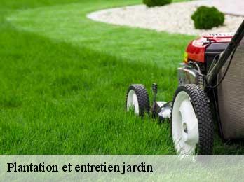 Plantation et entretien jardin