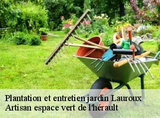 Plantation et entretien jardin  lauroux-34700 Artisan espace vert de l'hérault 