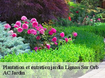 Plantation et entretien jardin  lignan-sur-orb-34490 AC Jardin