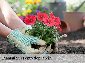 Plantation et entretien jardin