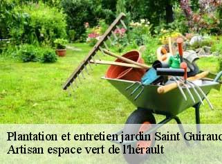 Plantation et entretien jardin  saint-guiraud-34725 Artisan espace vert de l'hérault 