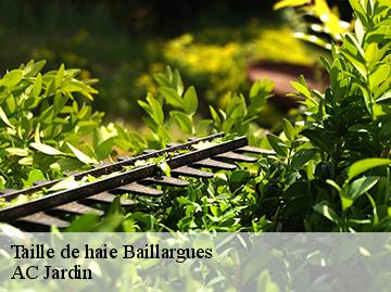 Taille de haie  baillargues-34670 AC Jardin